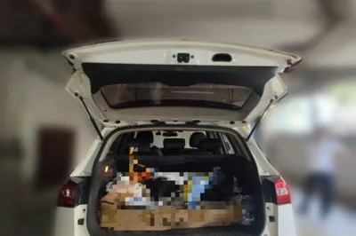 Zotye T600
