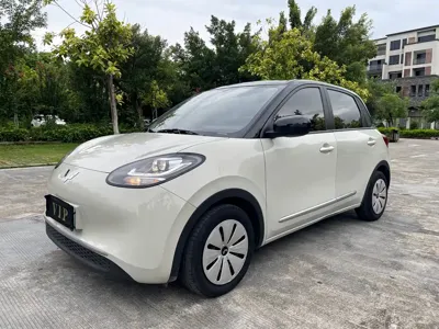 Wuling Bingo