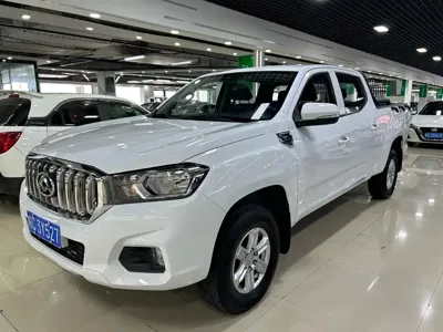 Maxus T60