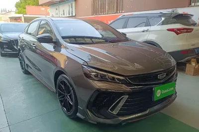 Geely Auto Binray