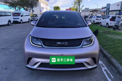 BYD Dolphin