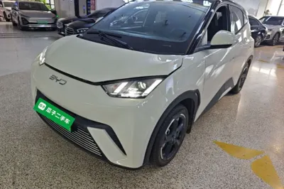 BYD Seagull