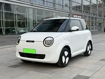 Qiyuan Lumin