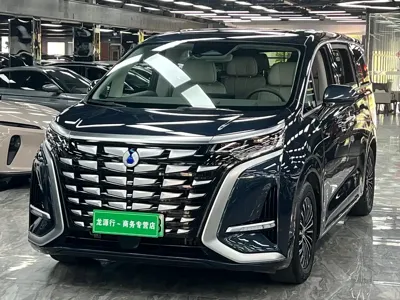 Denza Denza D9