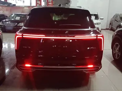 Hongqi Hongqi E-HS9