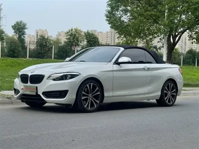 BMW 2 Series (Import)