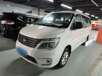 Fengxing Lingzhi