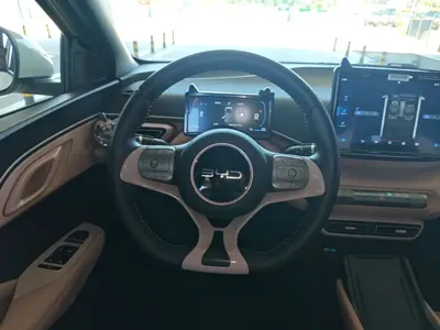 BYD Seagull
