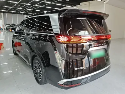 Denza D9