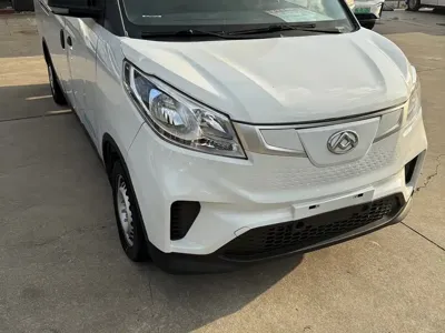 大通 EV30