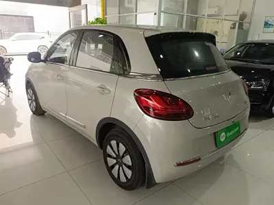 Wuling Bingo