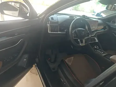 BYD PLUS