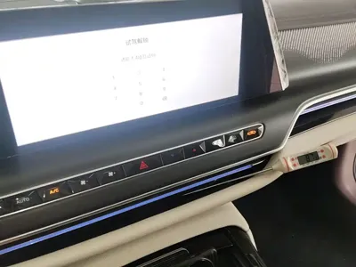 Hongqi Hongqi H9