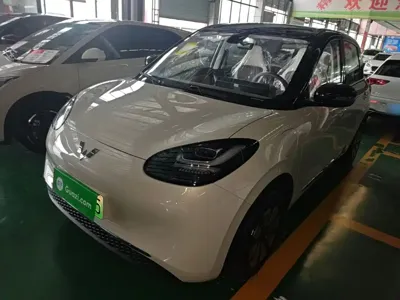 Wuling Bingo