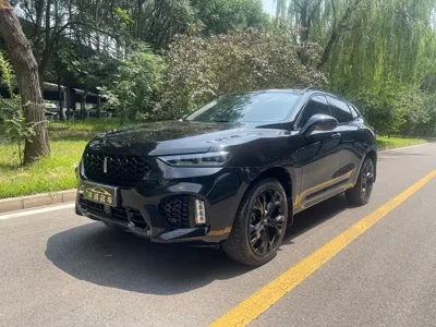 WEY Wey VV7