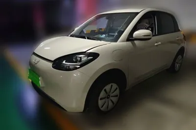 Wuling Bingo
