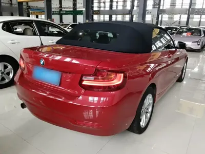 BMW 2 Series (Import)