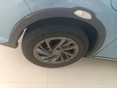 NETA Neta V