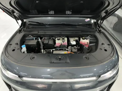 Leapmotor C10