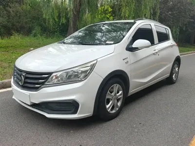Baojun 310