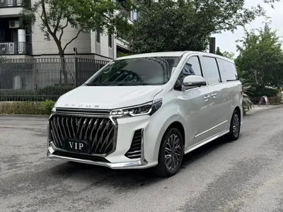 大通 G20