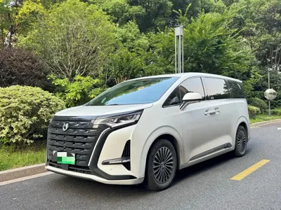 Denza Denza D9
