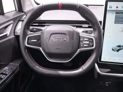 NETA Neta V
