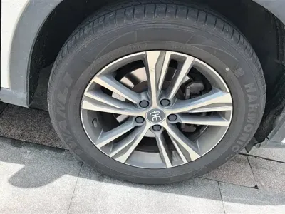 BYD Pro