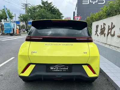 BYD Seagull