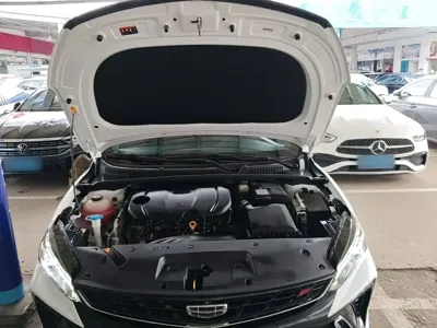 Geely Binrui