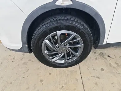 NETA Neta V