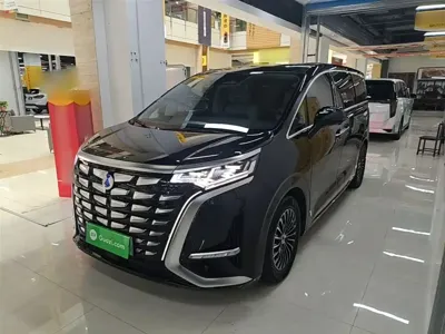 Denza Denza D9