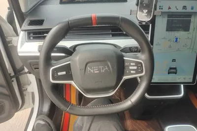 NETA V