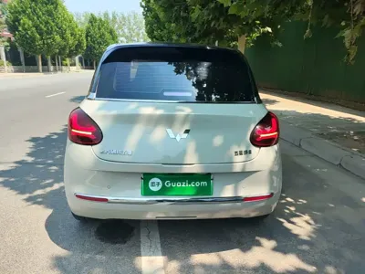 Wuling Bingo