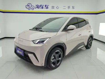 BYD Seagull