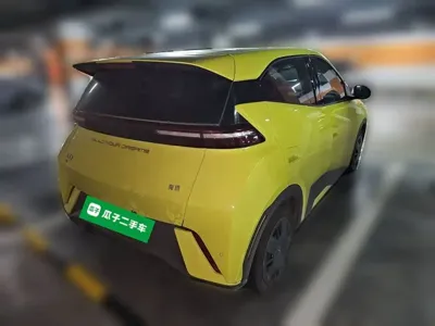 BYD Seagull