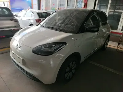 Wuling Bingo