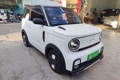 Geely Galaxy Panda