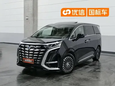 Denza Denza D9