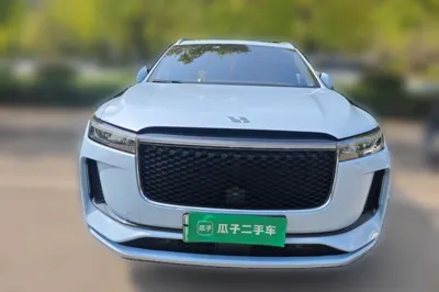 Li Auto ONE