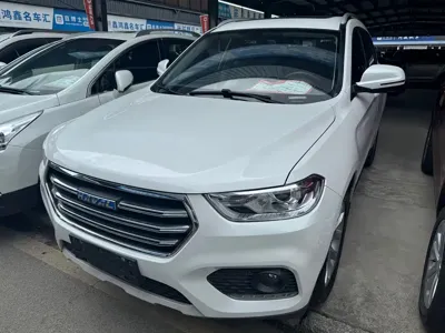 Haval H2