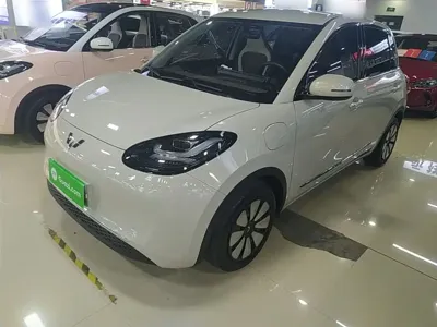 Wuling Bingo