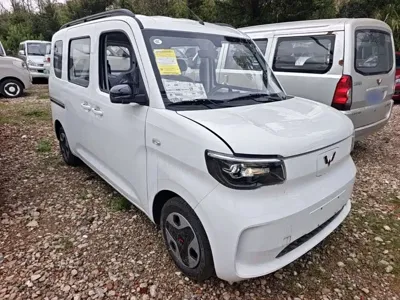 Wuling Zhiguang EV