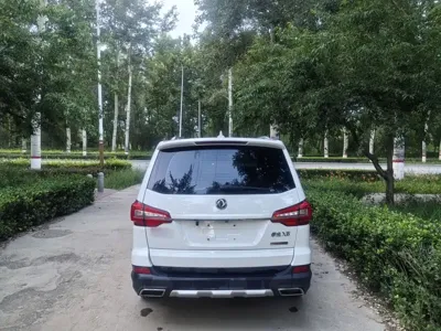 Fengxing X6