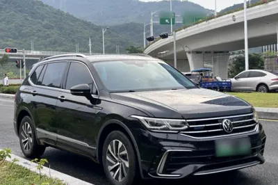 Volkswagen Tiguan L New Energy