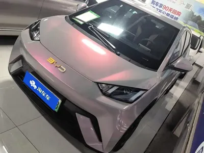 BYD Seagull