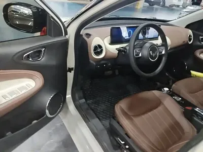Wuling Bingo