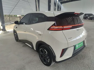 BYD Seagull