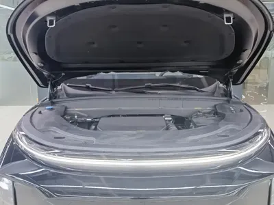 Li Auto Li L7