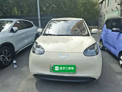 Wuling Bingo